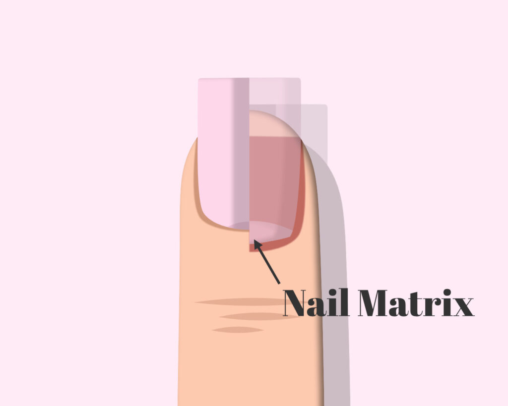 How to strengthen and grow healthy natural nails – The Nail Tech Diaries