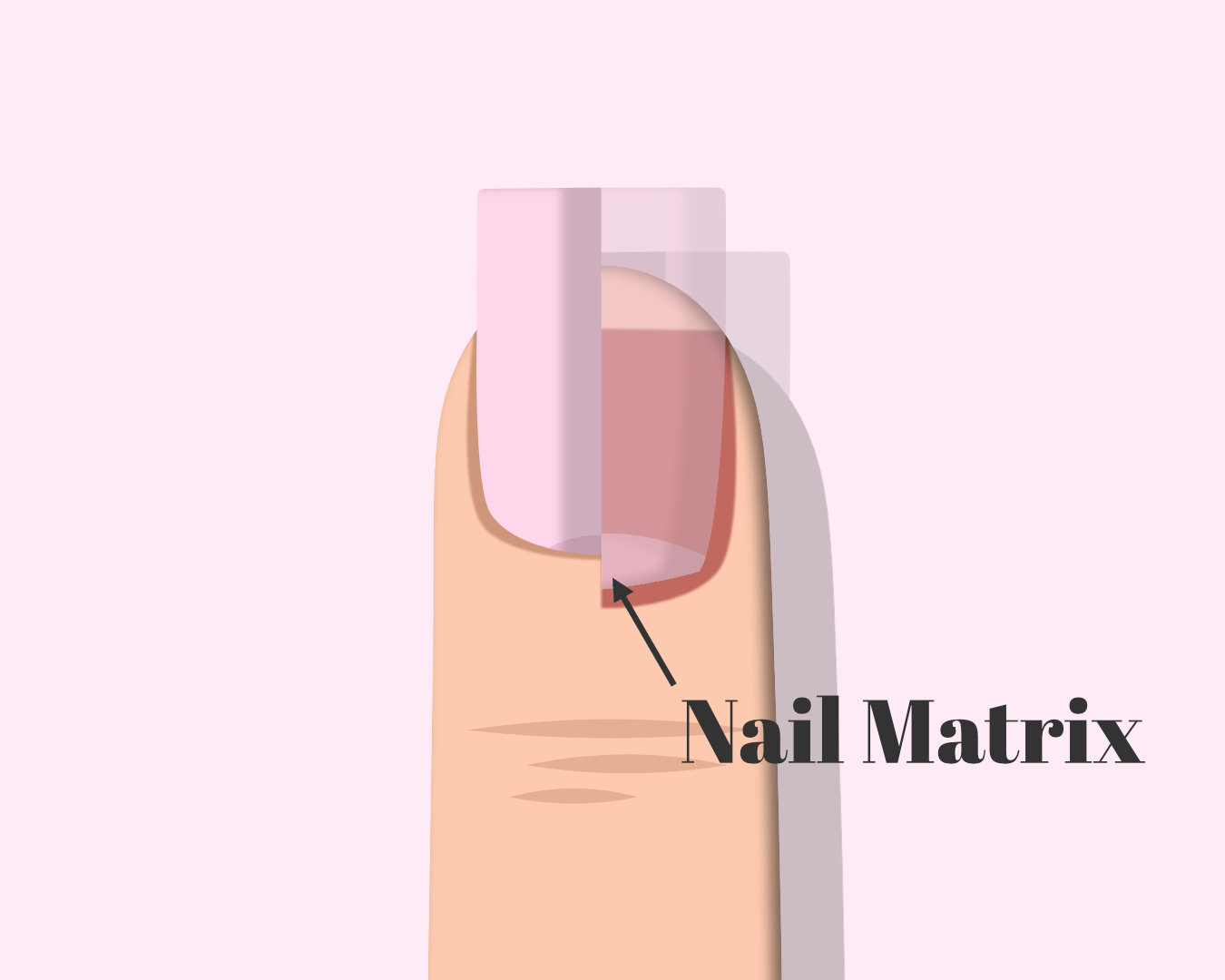 What is cuticle oil and what does it do? – The Nail Tech Diaries